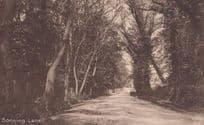 Sonning Lane Antique Postcard