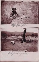 South African Hunter & Dog 2 Views Hunting Real Photo Old Postcard