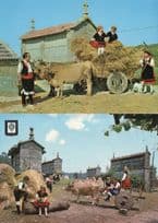 Spanish Cow Bull Farming Horse Power Transport 2x 1980s Postcard s