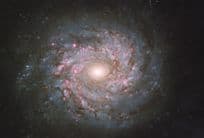 Spiral Galaxy NGC 3982 Ursa Major Constellation Milky Way Postcard