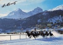 St Moritz Swiss Horse Race Racing Switzerland 1970s Snow Postcard
