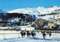 St Moritz Switzerland Horse Race in Snow Swiss Postcard