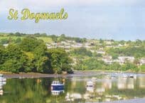 St. Dogmaels Cardigan Wales Boats River Teifi Postcard