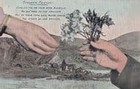 Staunch Friends Handshake Heather Bluebells Antique Postcard