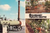 Steam Train Guernsey Tomato Centre Postcard