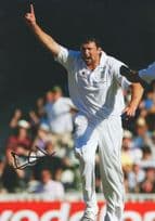 Steve Harmison Cricket 2009 Ashes Giant 12x8 Hand Signed Photo