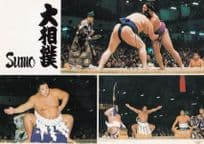 Sumo Wrestler Wrestling Yakozuna No Dohyoiri Japan Japanese Fight Postcard