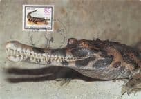 Sunda False Gharial Reptile German First Day Cover Postcard