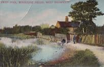 Swan Pool Warstone Fields West Bromwich Old Postcard Faults