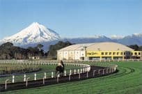Taranaki New Plymouth Horse Racing Stadium New Zealand Postcard
