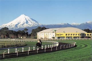 Taranaki New Plymouth Horse Racing Stadium New Zealand Postcard