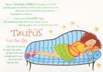 Taurus Persil Dry Cleaning Machine Advertising Zodiac Postcard