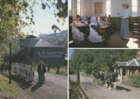 Telford Ironworks Victorian Children Crocodile Fashion Postcard