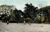 Tennis at Chalkwell Park Southend On Sea Antique Postcard