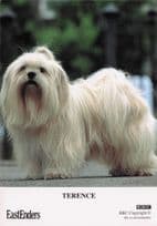 Terence BBC Eastenders TV Show Dog Official RARE Cast Card Photo