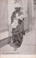 The Astonished Cat Kitten At Window Comic Antique Postcard