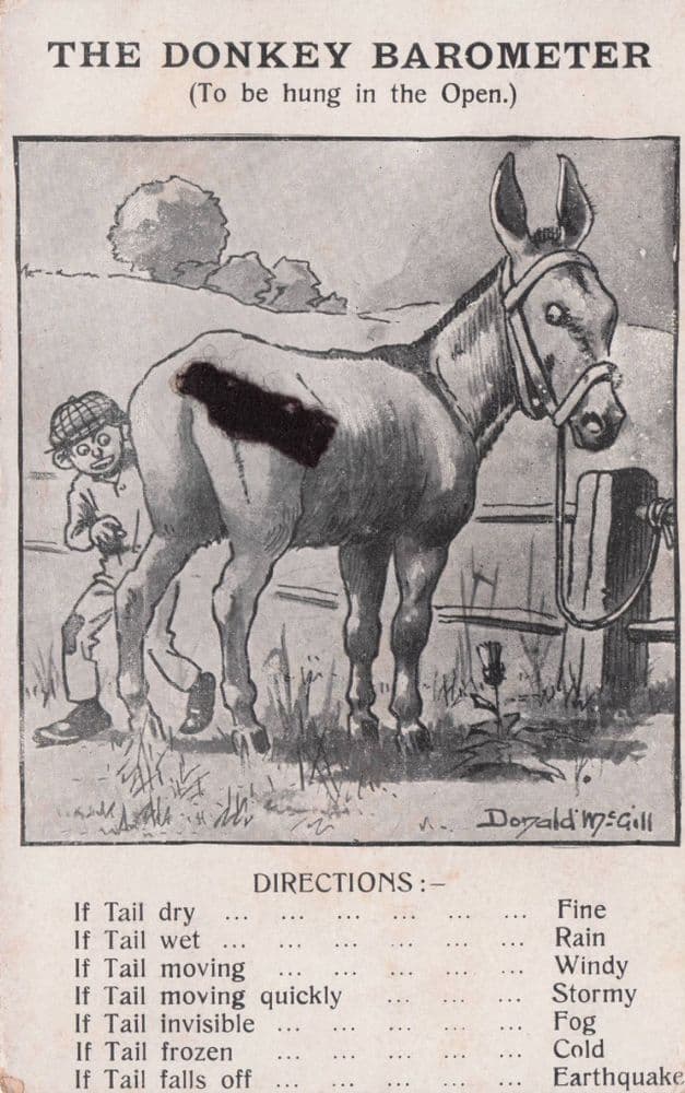 The Donkey Horse Race Barometer With Real Moving Tail Antique Postcard