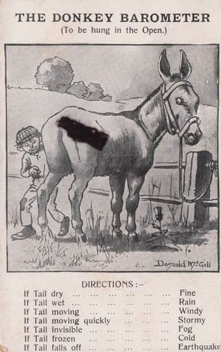 The Donkey Horse Race Barometer With Real Moving Tail Antique Postcard