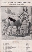 The Donkey Horse Race Barometer With Real Moving Tail Antique Postcard