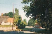 The Green South Collingham Limited Edition 1000 Postcard