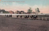 The Last Turn King's Place Woodbine Horse Racing Toronto Postcard