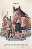 The Light Of Asia Pig Deer Sheep Horse Defence League Old Postcard
