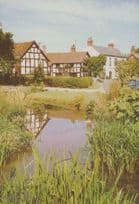The Millstream Eardisland Hereford Limited Edition Postcard