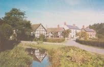 The Millstream Hereford Kathleen Freeman Ltd Postcard