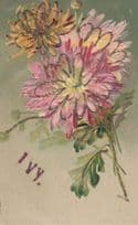 The Name IVY Romance Rose Flower Greetings REAL GLITTER ANTIQUE Postcard