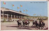 The Races Tijuana Mexico Old Horse Racing Postcard