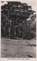 The Treetops Hotel Kenya Old RPC Africa Postcard & Message