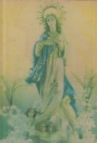 The Virgin Mary 3D Three Dimensional Christian Postcard