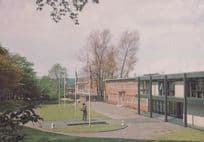 The Wedgewood Factory Stafford Staffordshire Postcard