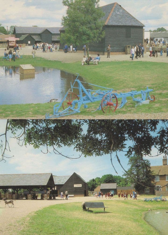 Thorpe Farm Park Essex Cattle Cafe Shed 2x Postcard s