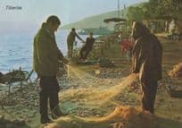 Tiberias Palestine Fishing Fishermen Drawing Nets Postcard