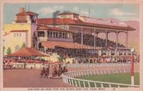 Tijuana Horse Race Track Mexico Caliente WW2 Vintage Postcard