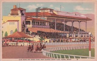 Tijuana Horse Race Track Mexico Caliente WW2 Vintage Postcard