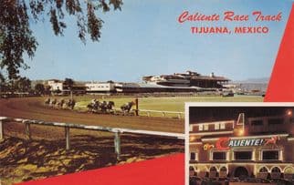 Tijuana Race Track Mexico Aliente Vintage Postcard