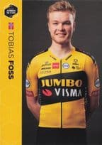 Tobias Foss Norway Champion Cyclist Dutch Team Jumbo Visma Postcard