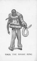Togo The Snake King Charmer Tamer African Old Advertising PB Postcard