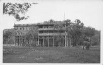 Treetops Nyeri Kenya Animal Hunting Old Africa Real Photo Postcard