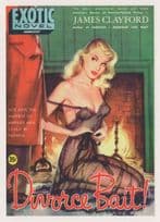 Unfaithful Marriage Divorce Sexy Bait Risque 1950s Book Postcard