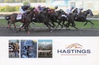 Vancouver Hastings Horse Racing Canada Protest Campaign Postcard