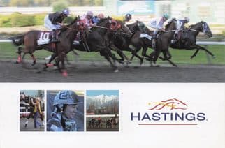 Vancouver Hastings Horse Racing Canada Protest Campaign Postcard
