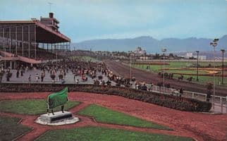 Vancouver NPE Grounds Horse Racing Stadium Statue Canada Postcard