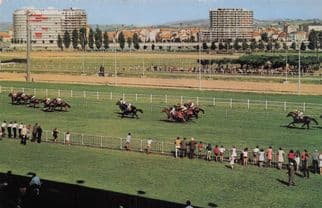 Vichy Horse Race Racing France 1960s French Rare Postcard