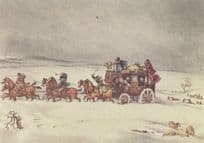 Victorian Devenport Royal Mail Coach at Amesbury Downs Transport Postcard