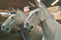 Warrior Horses Stables Pottery Farming China Model Chinese Postcard