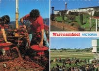 Warrnambool Victoria Horse Racing Crayfishing Australia Postcard