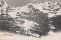Wengerrnalp Switzerland Mountains Swiss 4x Old Cows Antique Aerial Postcard s